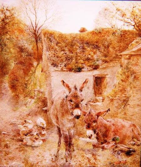 Donkeys and Ducks in a Farmyard a William Huggins