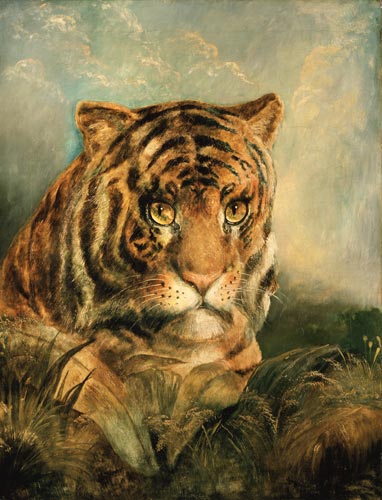 Tiger a William Huggins
