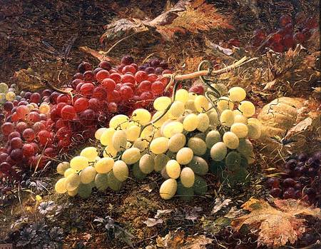 Grapes a William Jabez Muckley