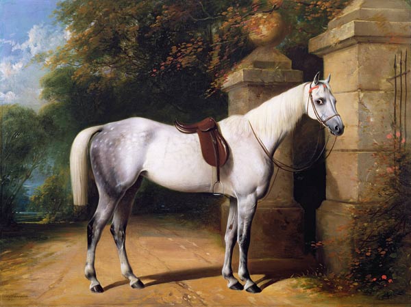 A Grey Horse by Park Gates a William u. Henry Barraud