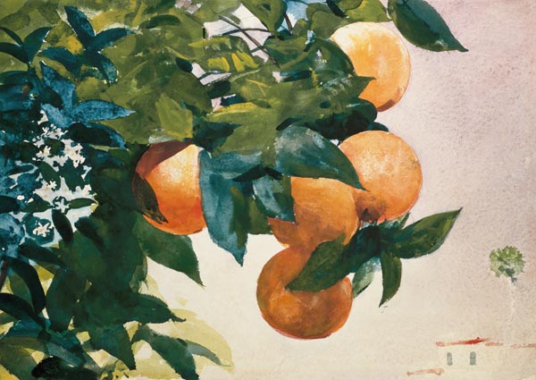 Branch with oranges a Winslow Homer