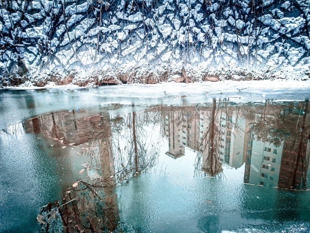 Surreal reflection of our place a YoungIl Kim