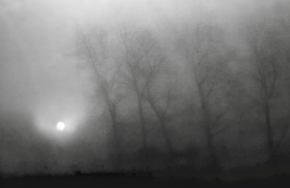 Across the morning mist, the light is pale a Yvette Depaepe